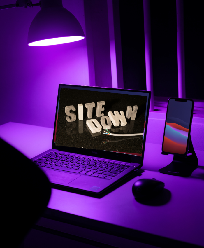 Why Is My Website Down?